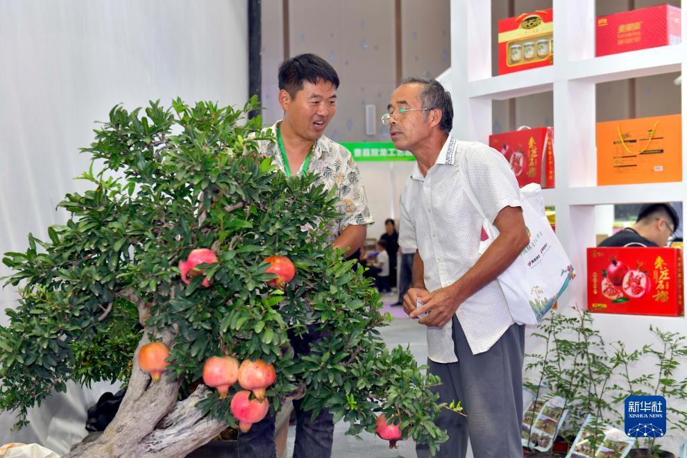 金沙秀ios下载